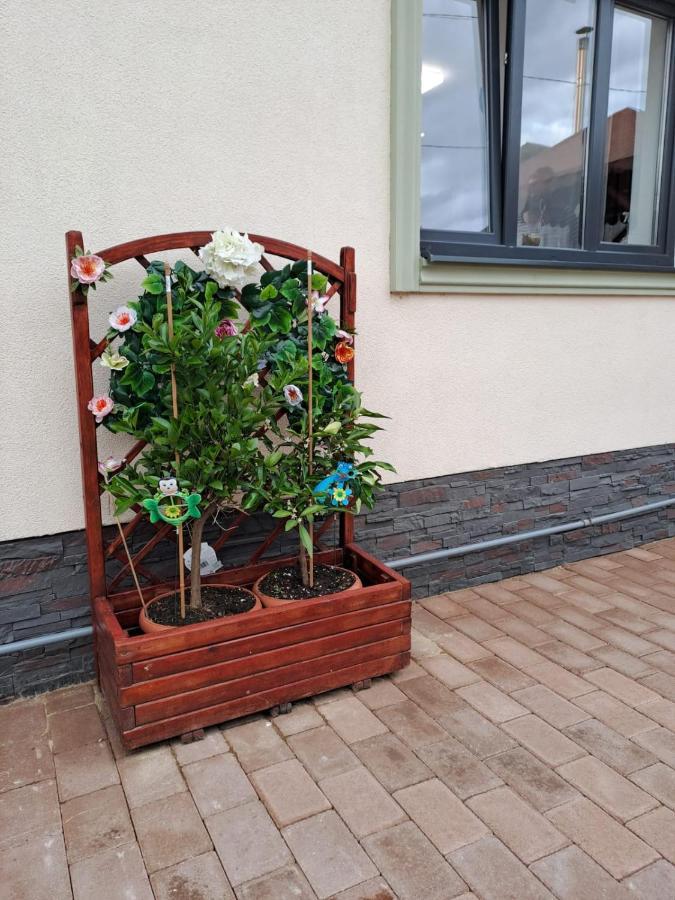 Willa Mareto House Turda Zewnętrze zdjęcie